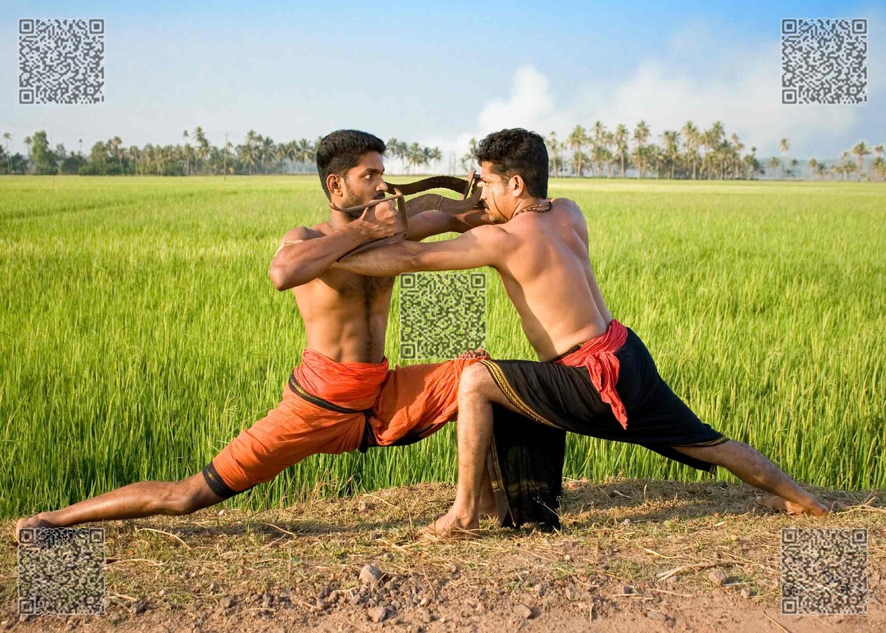 kalaripayattu Adimurai